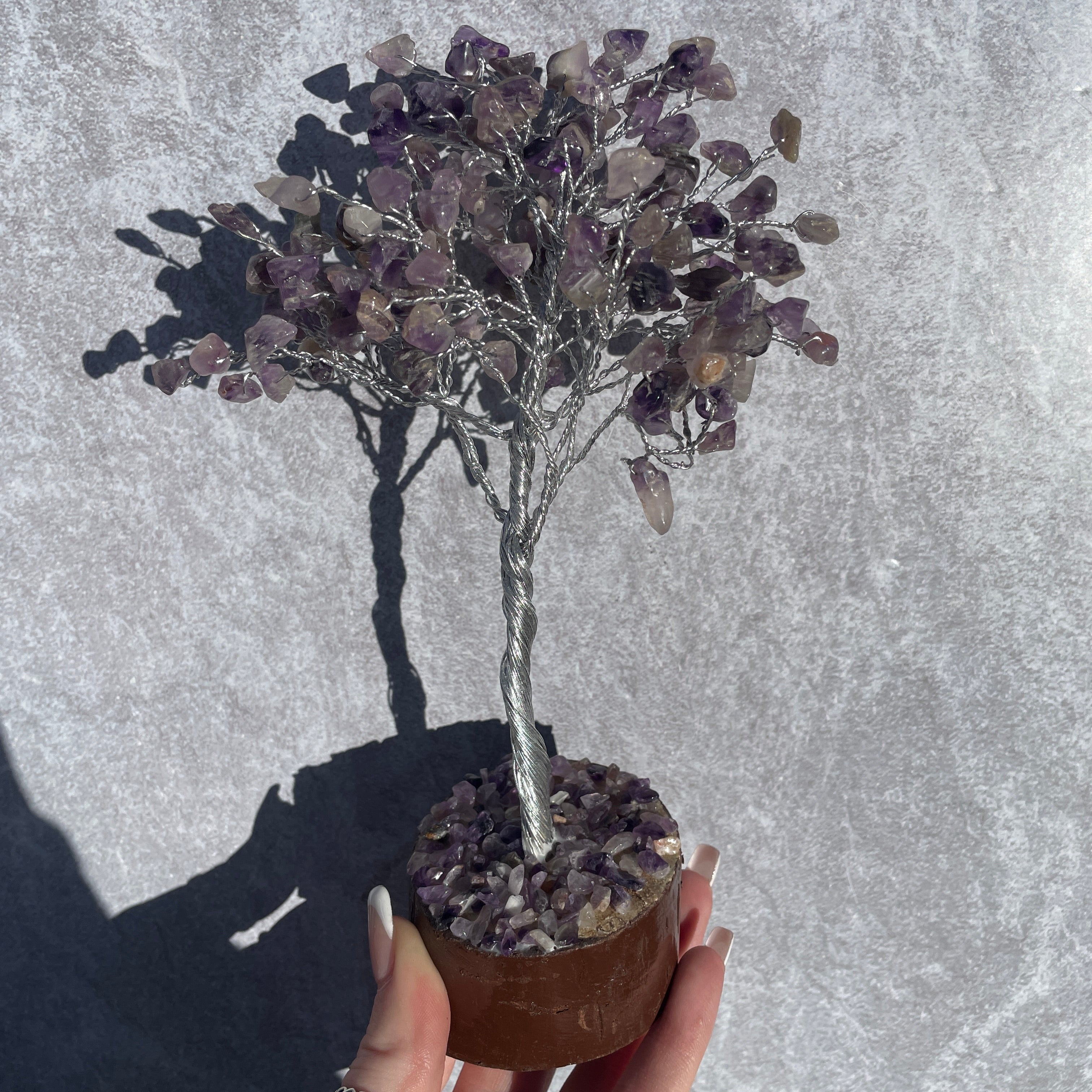 Amethyst Tree - Medium 012 Amethyst Tree - Medium 012